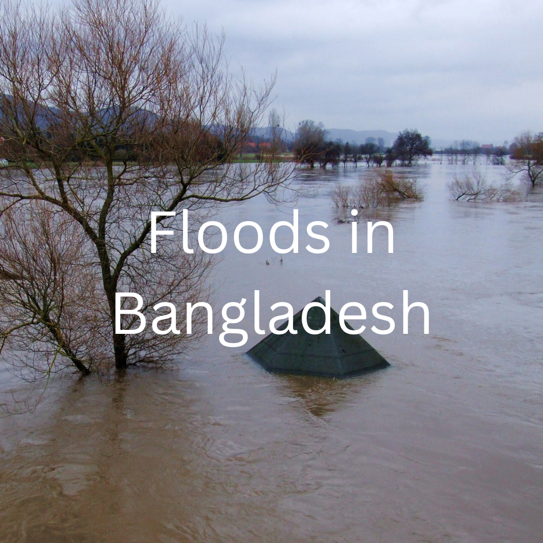 Battling the Deluge: Bangladesh’s Ongoing Struggle with&nbsp;Flooding