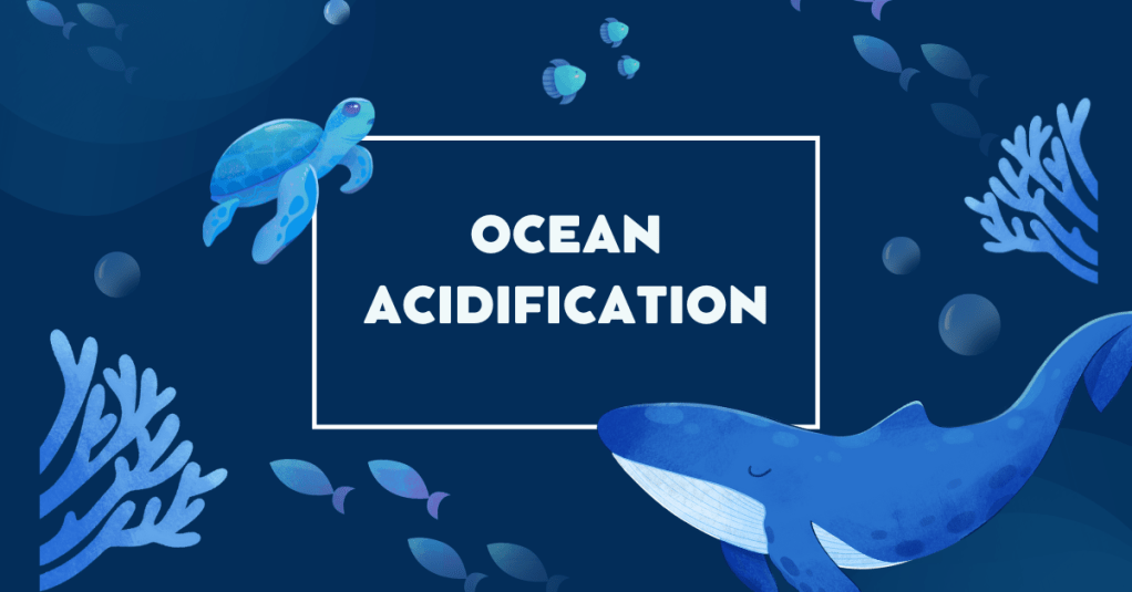 The silent crisis beneath the waves: Ocean&nbsp;Acidification