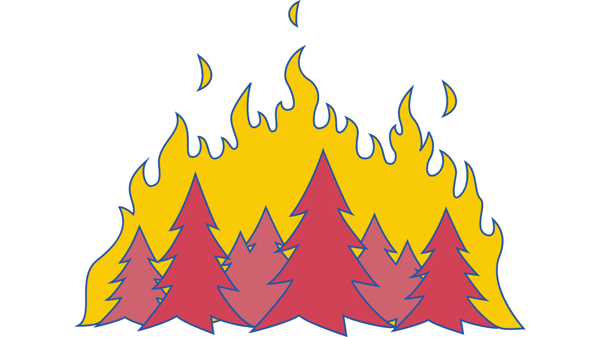 Environmental Impacts of&nbsp;Wildfires