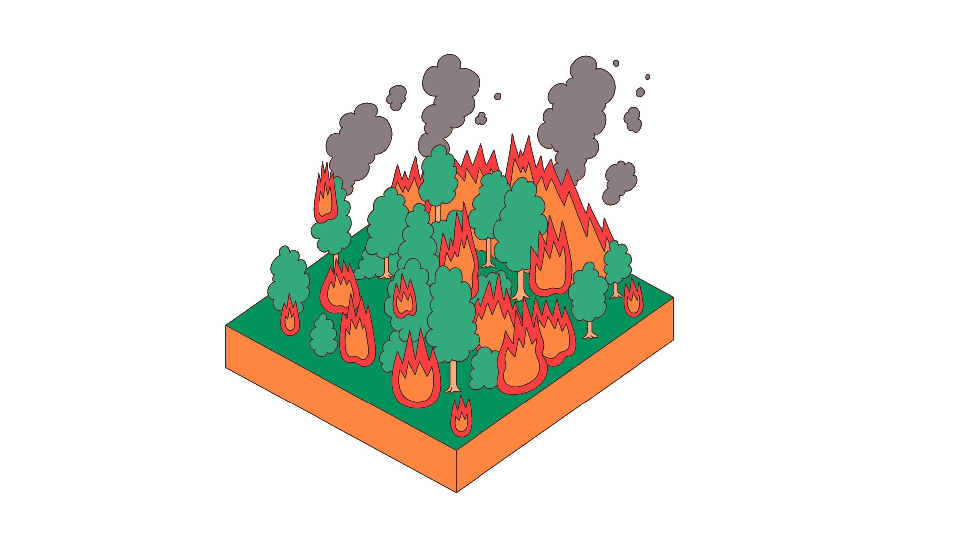 Health Implications of&nbsp;Wildfires
