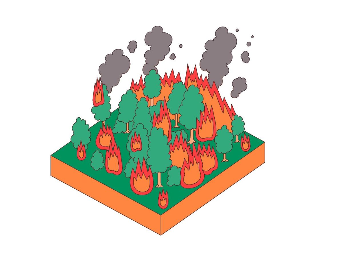 Health Implications of&nbsp;Wildfires