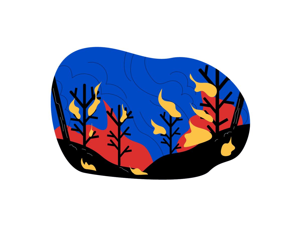 The Aftermath of Wildfires: Property and Infrastructure&nbsp;Damage