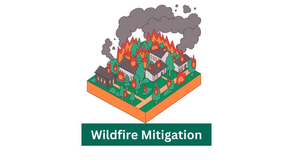 Wildfires Prevention and Mitigation&nbsp;Efforts