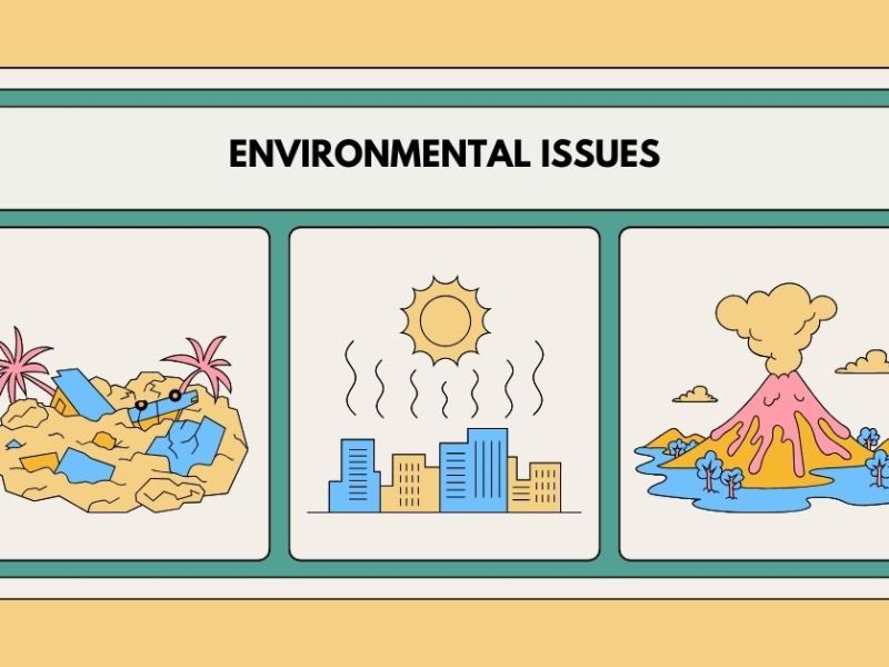 Environmental Issues