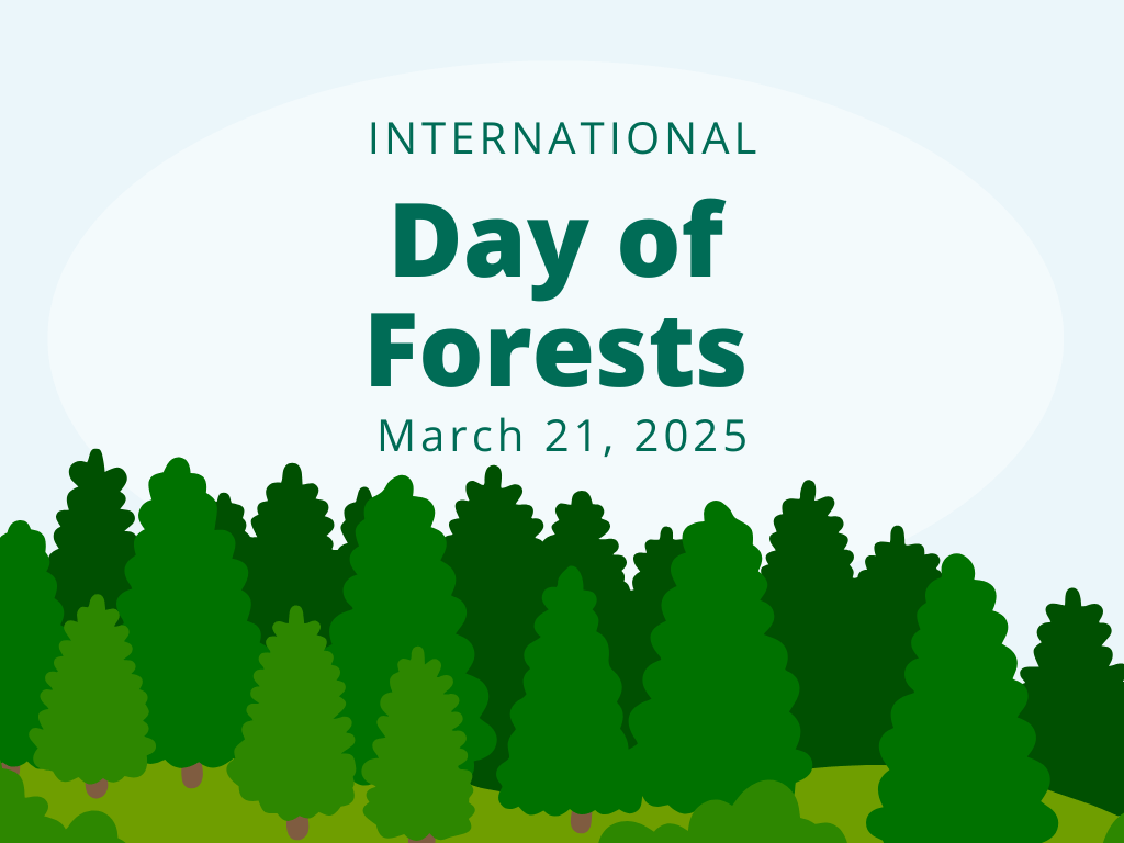International Day of Forests 2025: Forests and Food