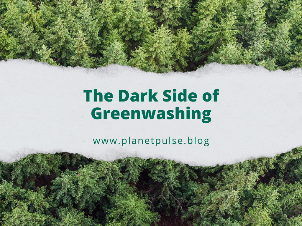The Dark Side of Greenwashing: How Companies Mislead&nbsp;Consumers