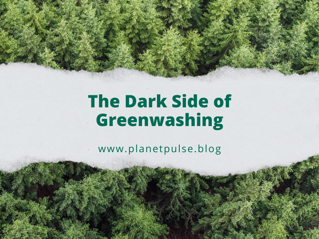 The Dark Side of Greenwashing: How Companies Mislead&nbsp;Consumers