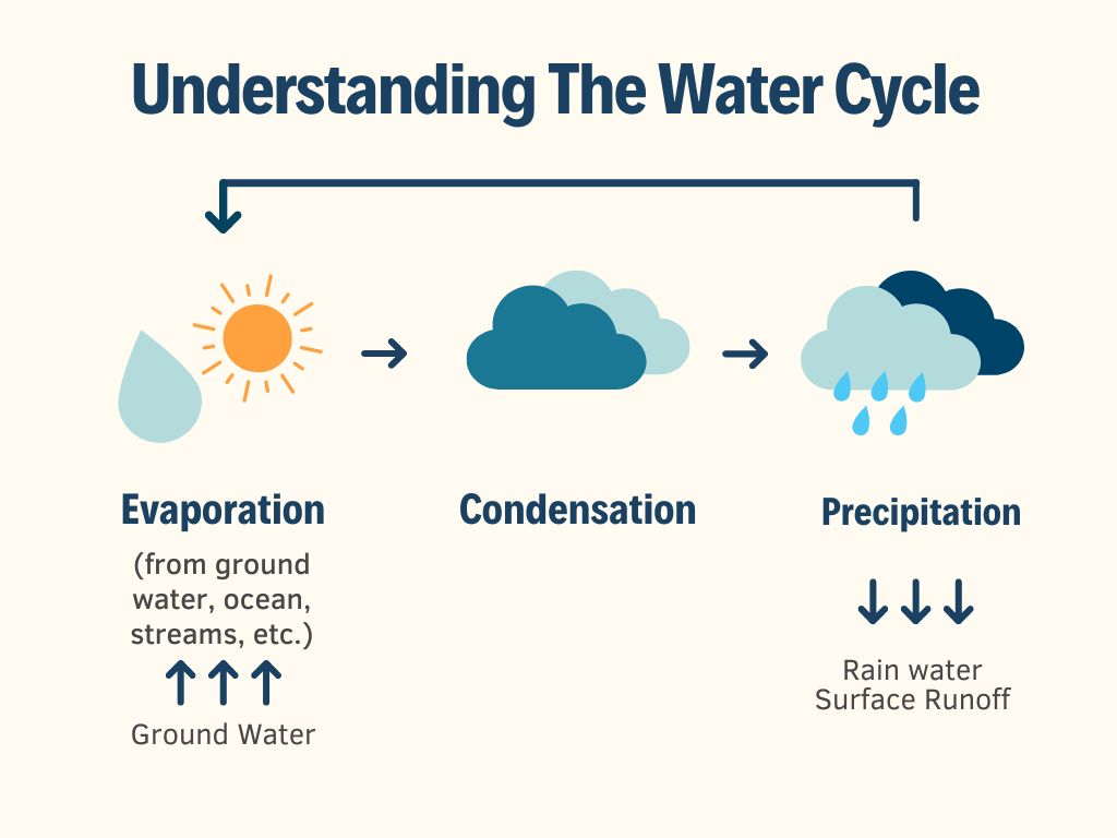 Understanding the Water&nbsp;Cycle