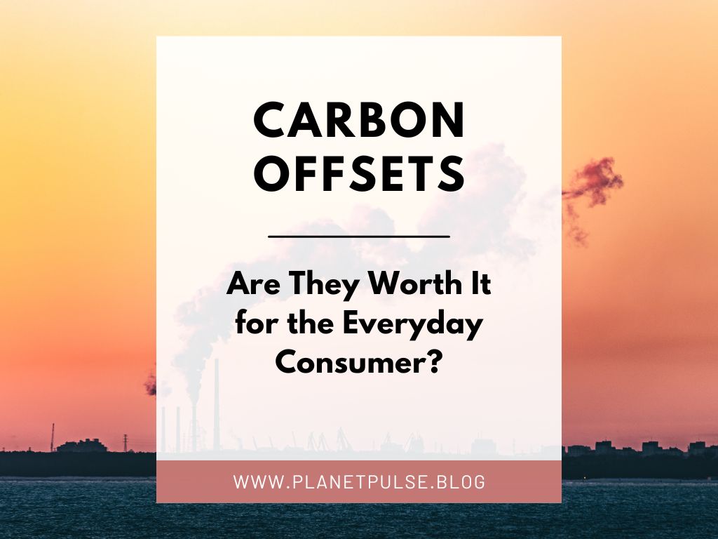 Carbon Offsets: Are They Worth It for the Everyday Consumer?
