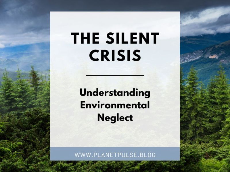 The Silent Crisis: Understanding Environmental&nbsp;Neglect