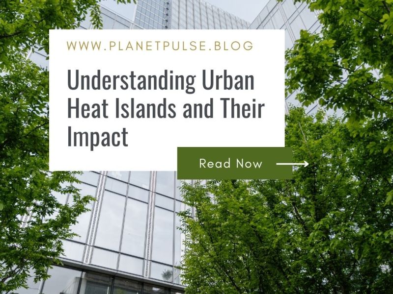 Understanding Urban Heat Islands and Their&nbsp;Impact
