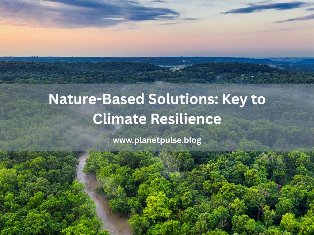 Nature-Based Solutions: Key to Climate&nbsp;Resilience