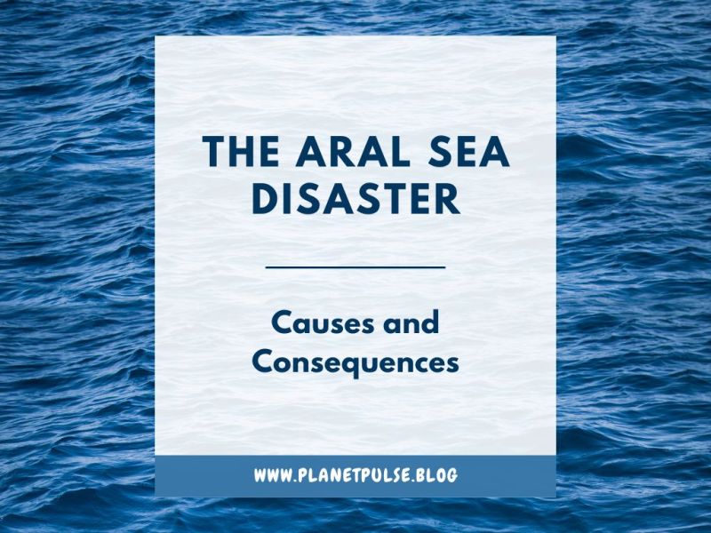 The Aral Sea Disaster: Causes and&nbsp;Consequences
