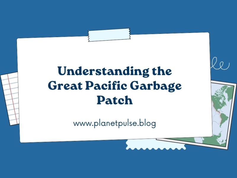 Understanding the Great Pacific Garbage&nbsp;Patch