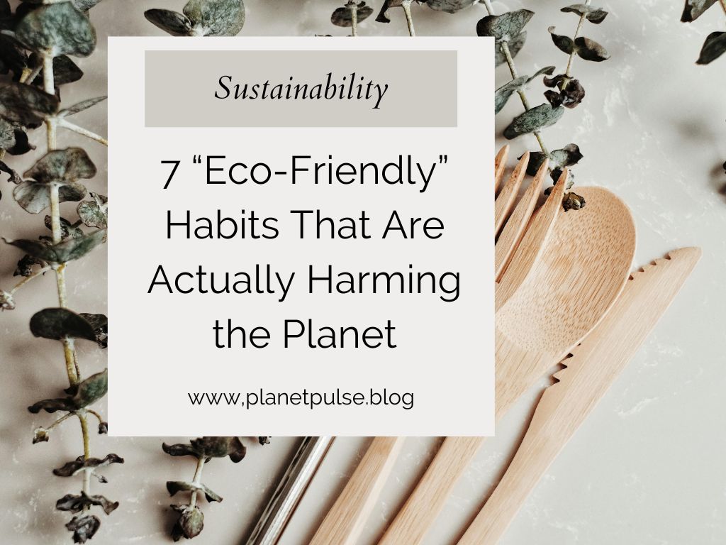 7 “Eco-Friendly” Habits That Are Actually Harming the&nbsp;Planet