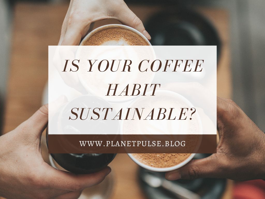 Is Your Coffee Habit&nbsp;Sustainable?