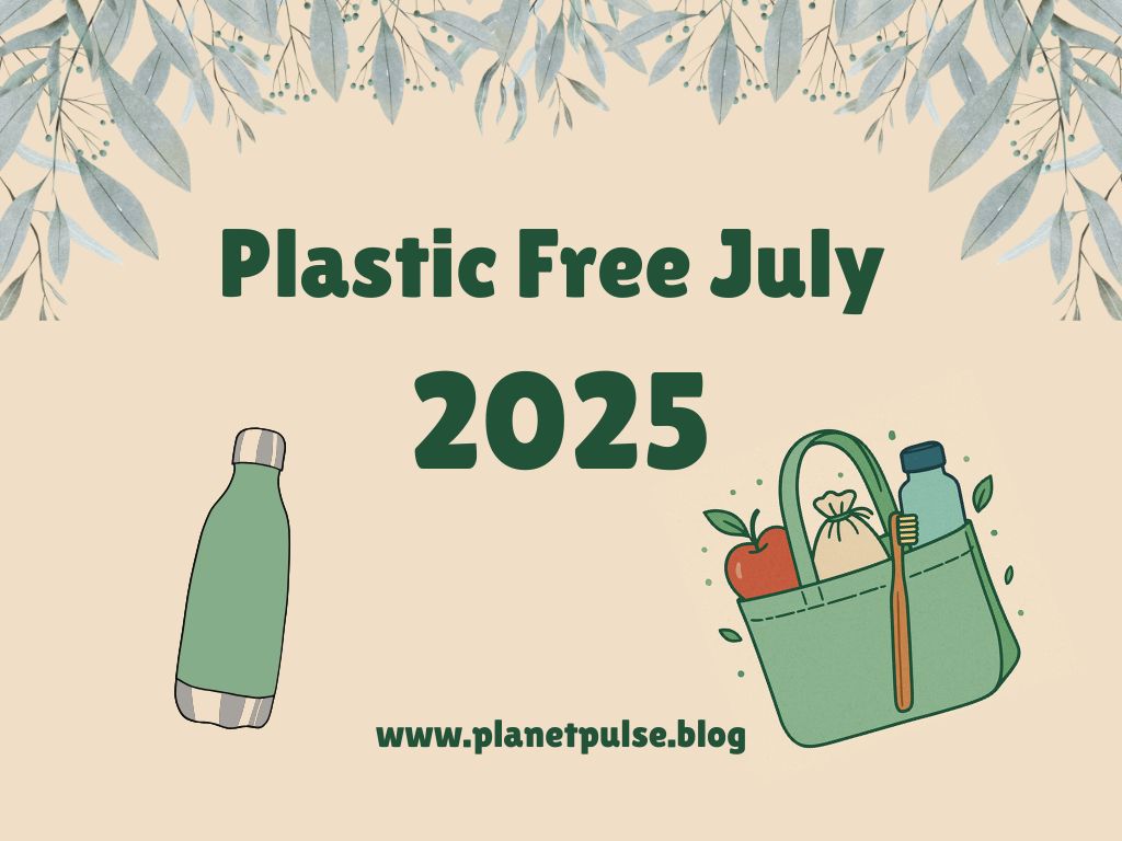 Plastic-Free July (2025): 10 Easy Swaps To&nbsp;Make