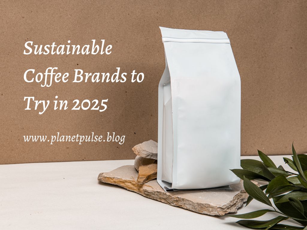 Sustainable Coffee Brands to Try in&nbsp;2025