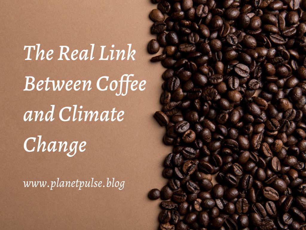 The Real Link Between Coffee and Climate&nbsp;Change