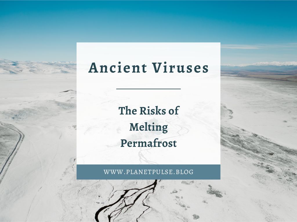 Ancient Viruses: The Risks of Melting&nbsp;Permafrost