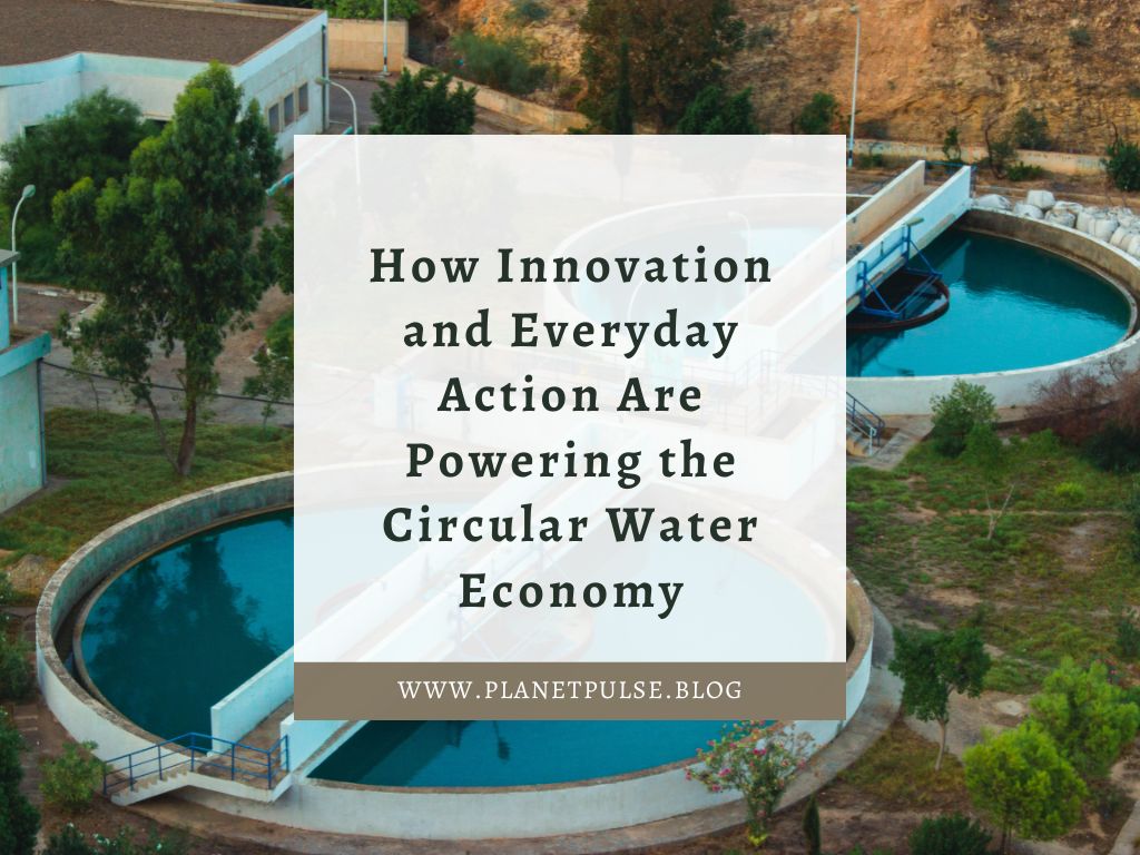 How Innovation and Everyday Action Are Powering the Circular Water&nbsp;Economy