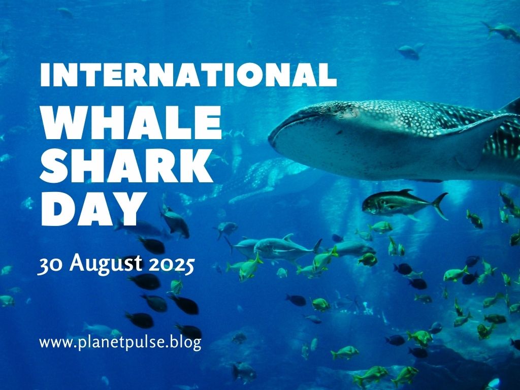 International Whale Shark Day&nbsp;2025