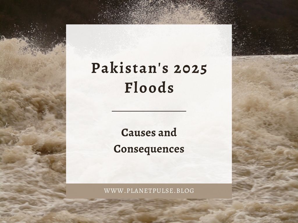 Pakistan’s 2025 Floods: Causes and&nbsp;Consequences