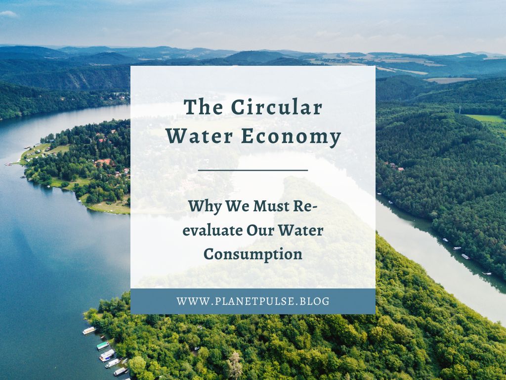 The Circular Water Economy:  Why We Must Re-evaluate Our Water&nbsp;Consumption
