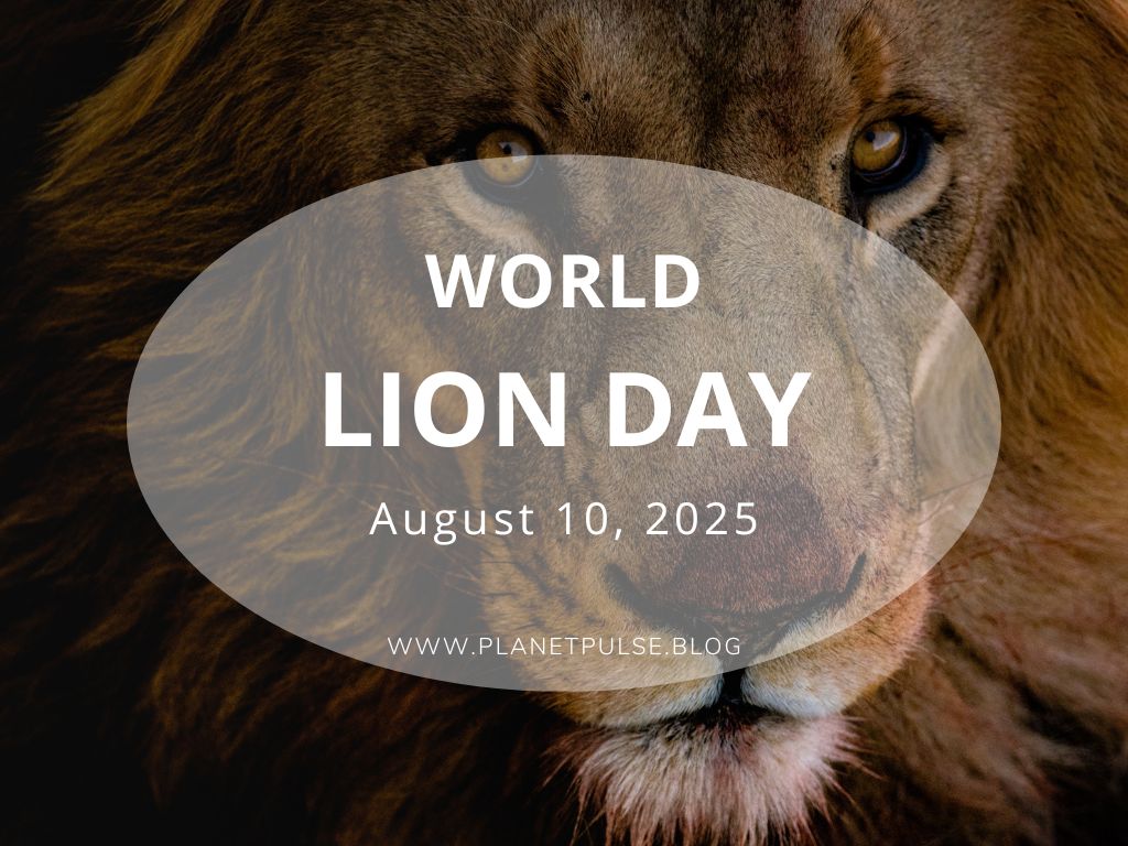 World Lion Day&nbsp;2025
