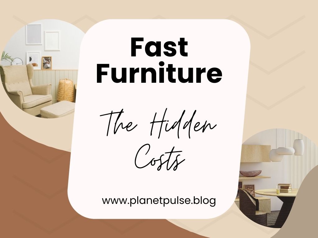 Fast Furniture: The Hidden&nbsp;Costs