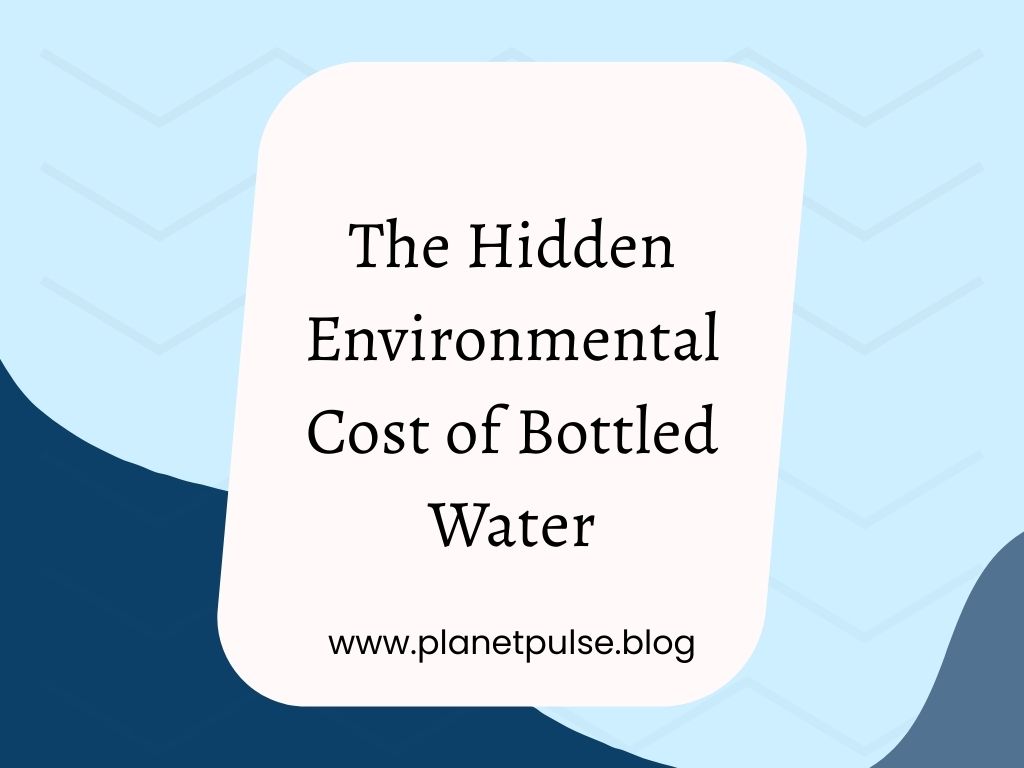 The Hidden Environmental Cost of Bottled&nbsp;Water