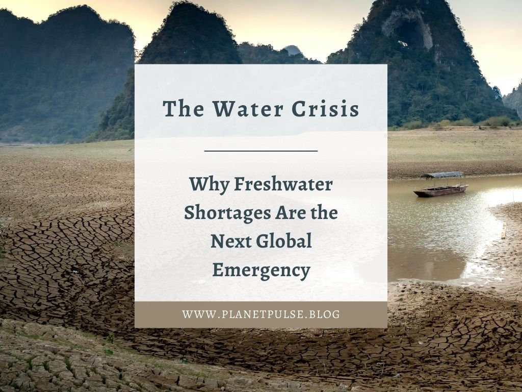 The Water Crisis: Why Freshwater Shortages Are the Next Global&nbsp;Emergency