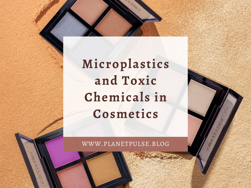 Microplastics and Toxic Chemicals in&nbsp;Cosmetics