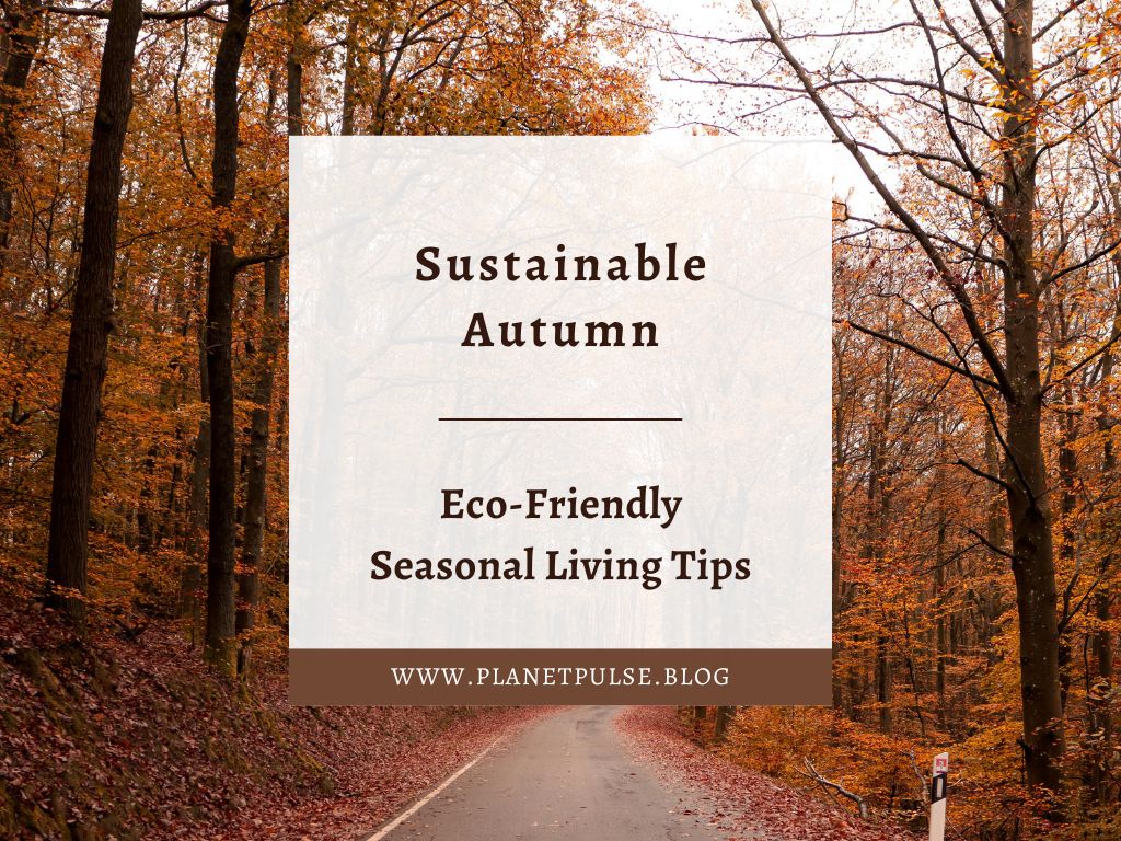 Sustainable Autumn: Eco-Friendly Seasonal Living&nbsp;Tips