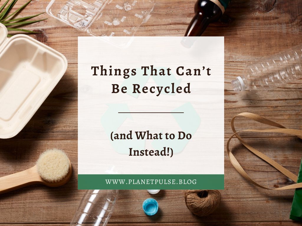 Things That Can’t Be Recycled (and What to Do&nbsp;Instead!)