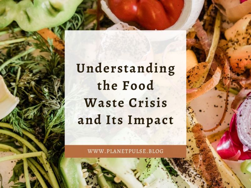 Understanding the Food Waste Crisis and Its&nbsp;Impact