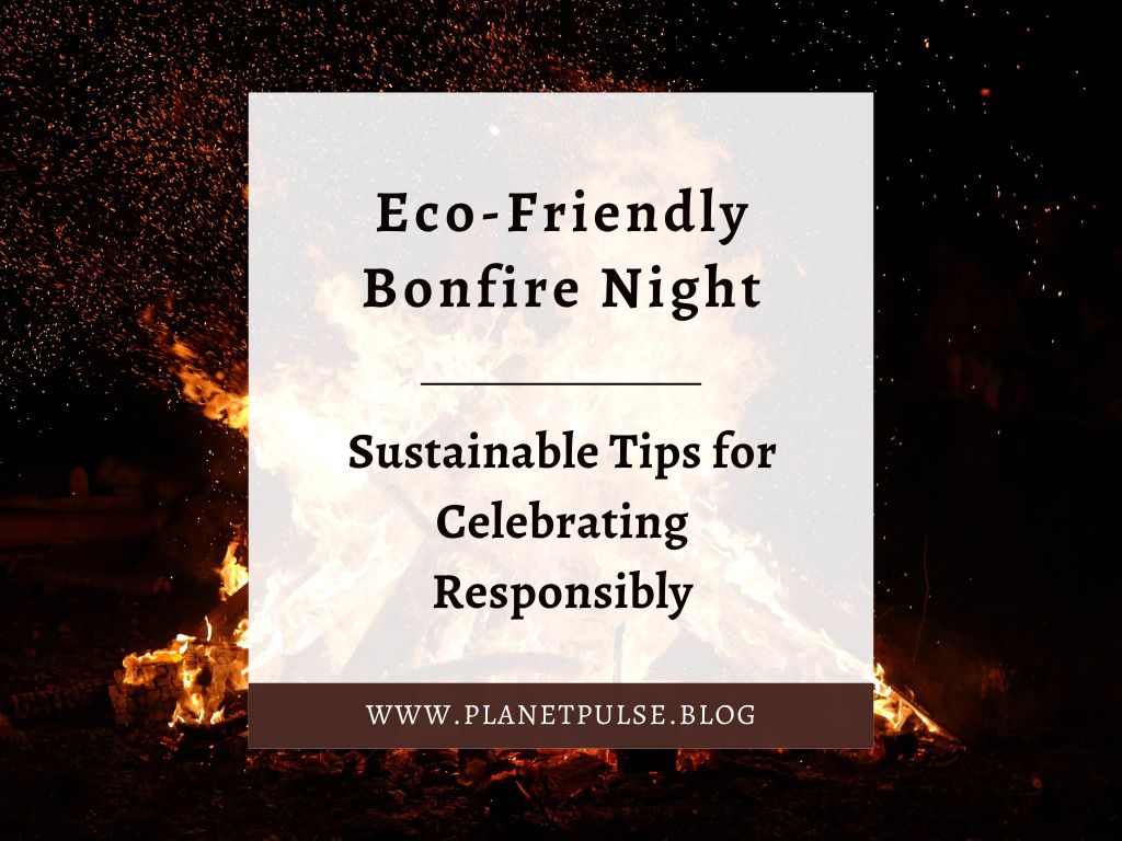 Eco-Friendly Bonfire Night: Sustainable Tips for Celebrating&nbsp;Responsibly