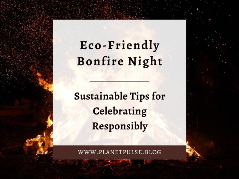 Eco-Friendly Bonfire Night: Sustainable Tips for Celebrating&nbsp;Responsibly