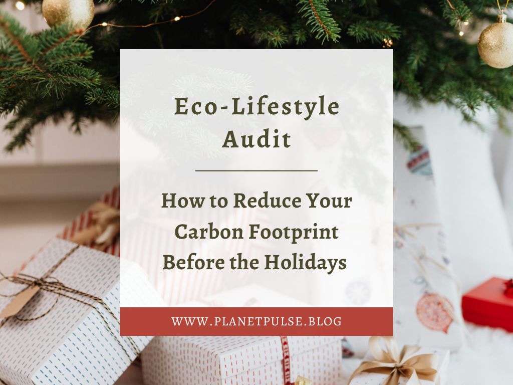 Eco-Lifestyle Audit: How to Reduce Your Carbon Footprint Before the&nbsp;Holidays