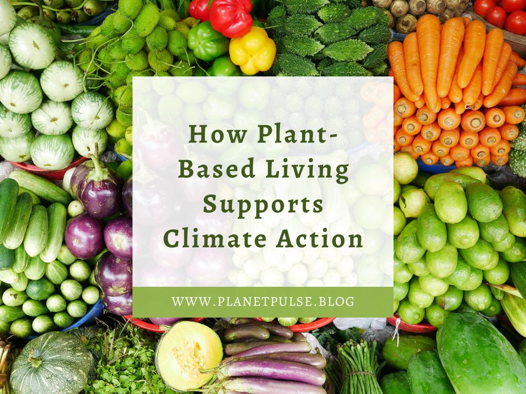 How Plant-Based Living Supports Climate&nbsp;Action