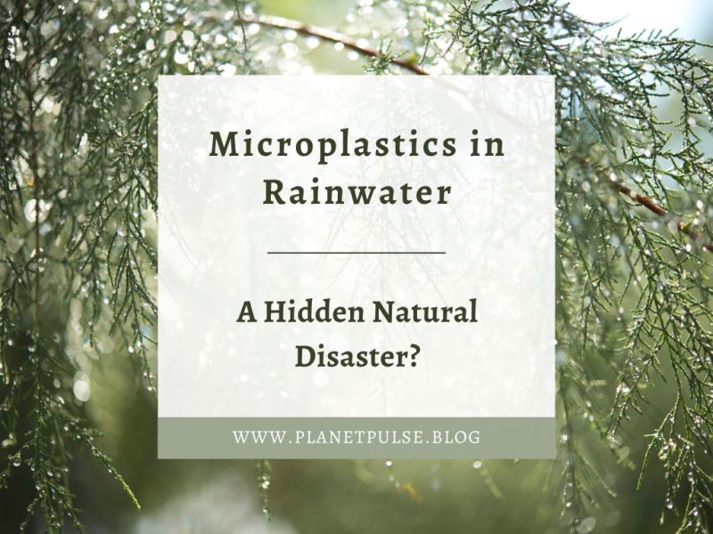 Microplastics in Rainwater: A Hidden Natural&nbsp;Disaster?
