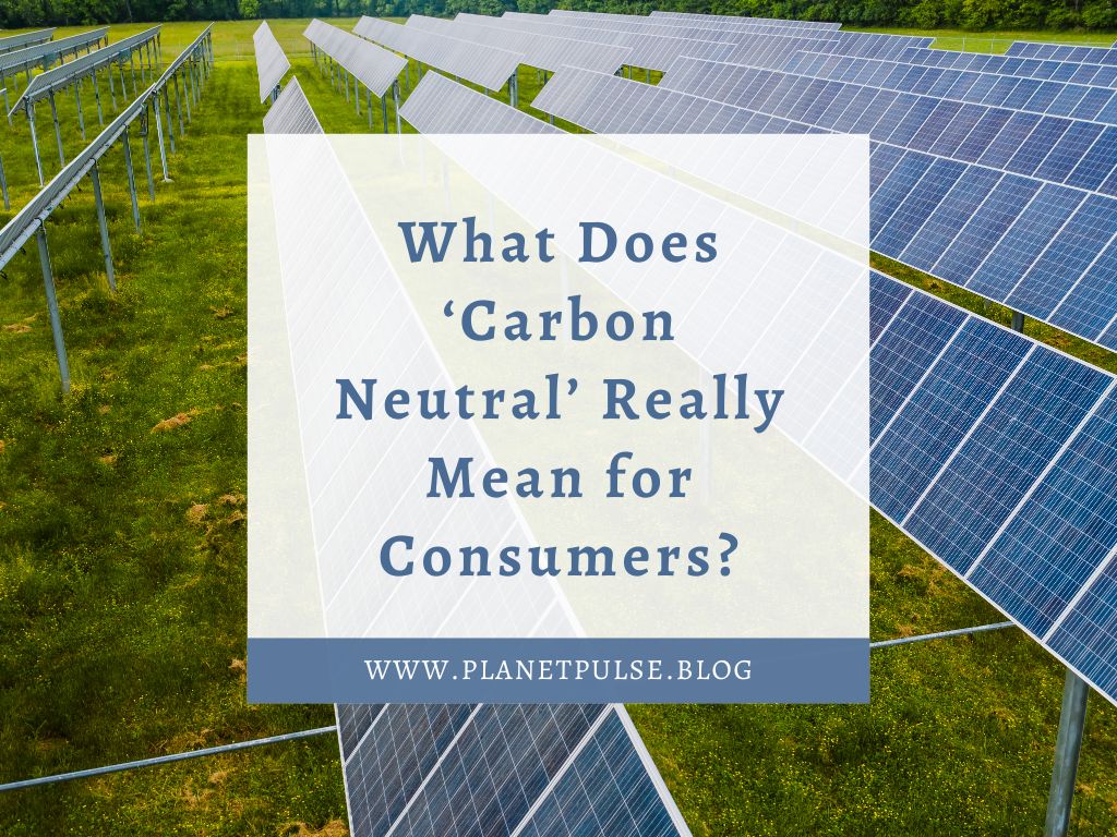 What Does ‘Carbon Neutral’ Really Mean for&nbsp;Consumers?