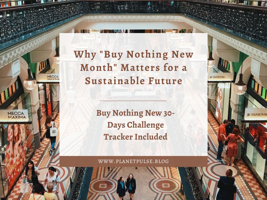 Why “Buy Nothing New Month” Matters for a Sustainable&nbsp;Future