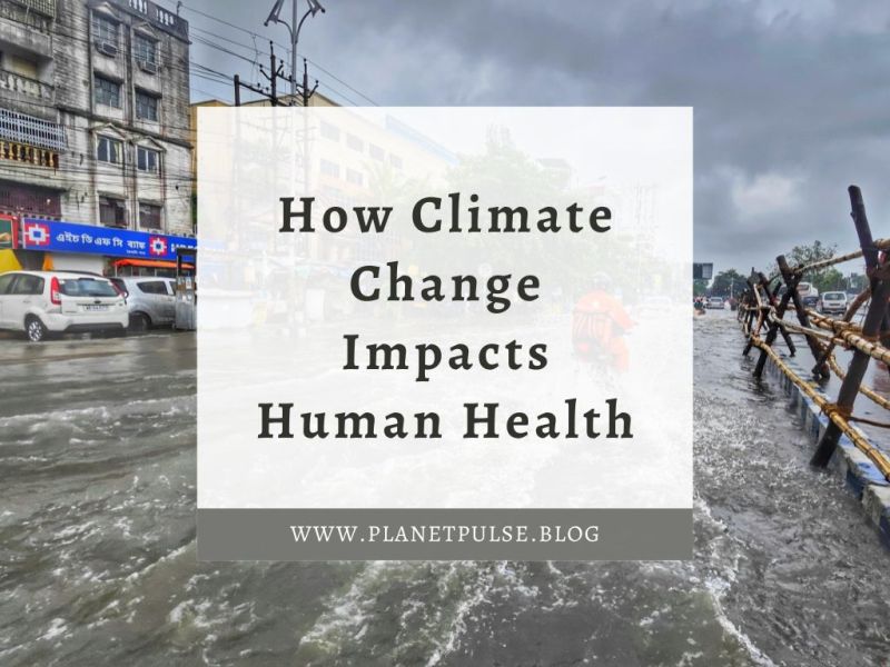 How Climate Change Impacts Human&nbsp;Health