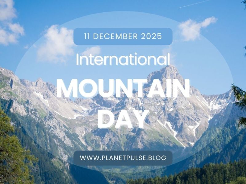 International Mountain Day&nbsp;2025