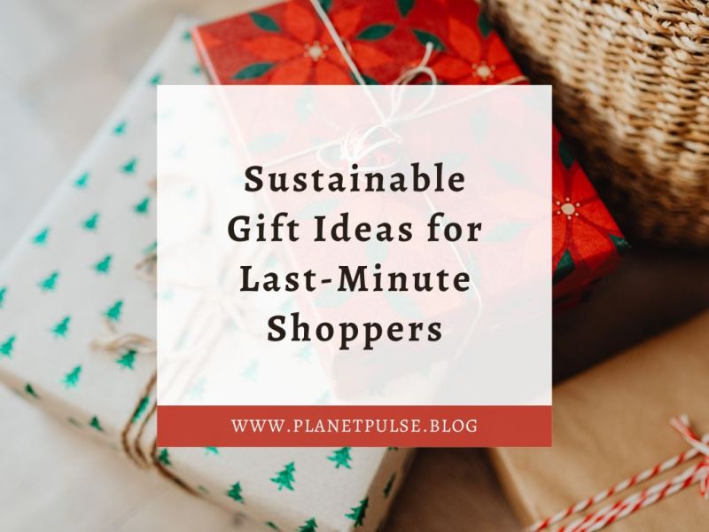 Sustainable Gift Ideas for Last-Minute&nbsp;Shoppers