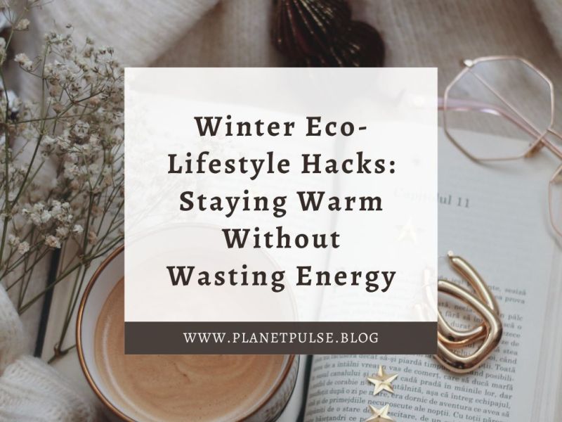 Winter Eco-Lifestyle Hacks: Staying Warm Without Wasting&nbsp;Energy