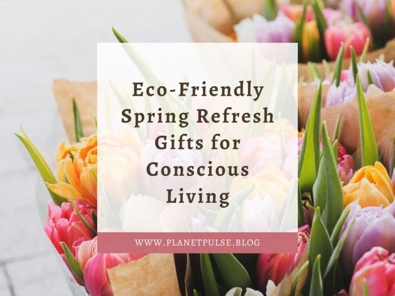 Eco‑Friendly Spring Refresh Gifts for Conscious&nbsp;Living