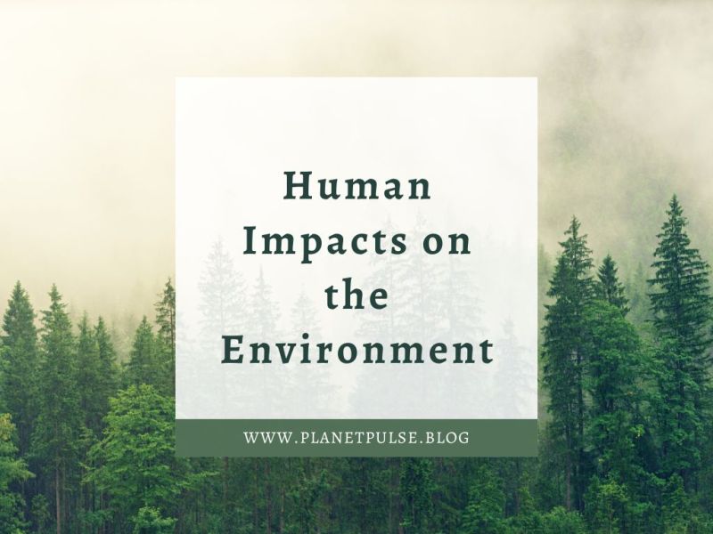 Human Impacts on the&nbsp;Environment