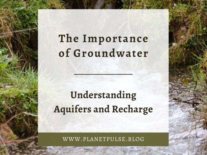 The Importance of Groundwater: Understanding Aquifers and&nbsp;Recharge